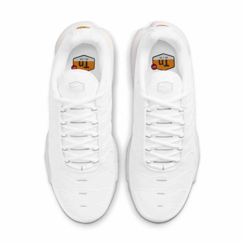 Nike Air Max Plus "Pure Platimun" DM2362-100