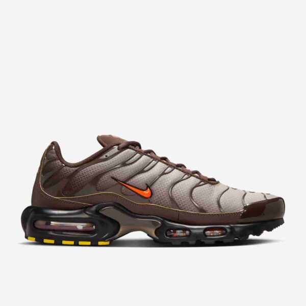 Nike Air Max Plus 'Baroque Brown' DM0032-200