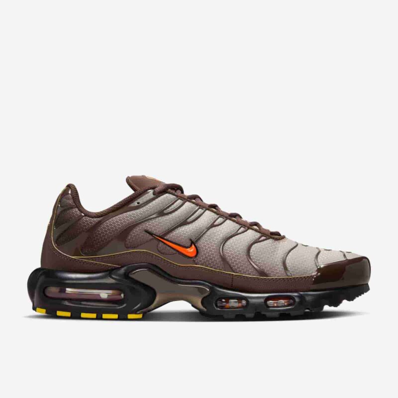 Nike Air Max Plus 'Baroque Brown' DM0032-200