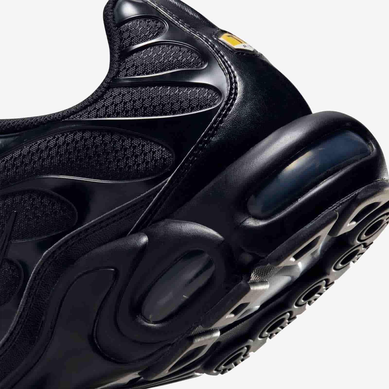 Nike Air Max Plus 'Triple Black' 604133-050